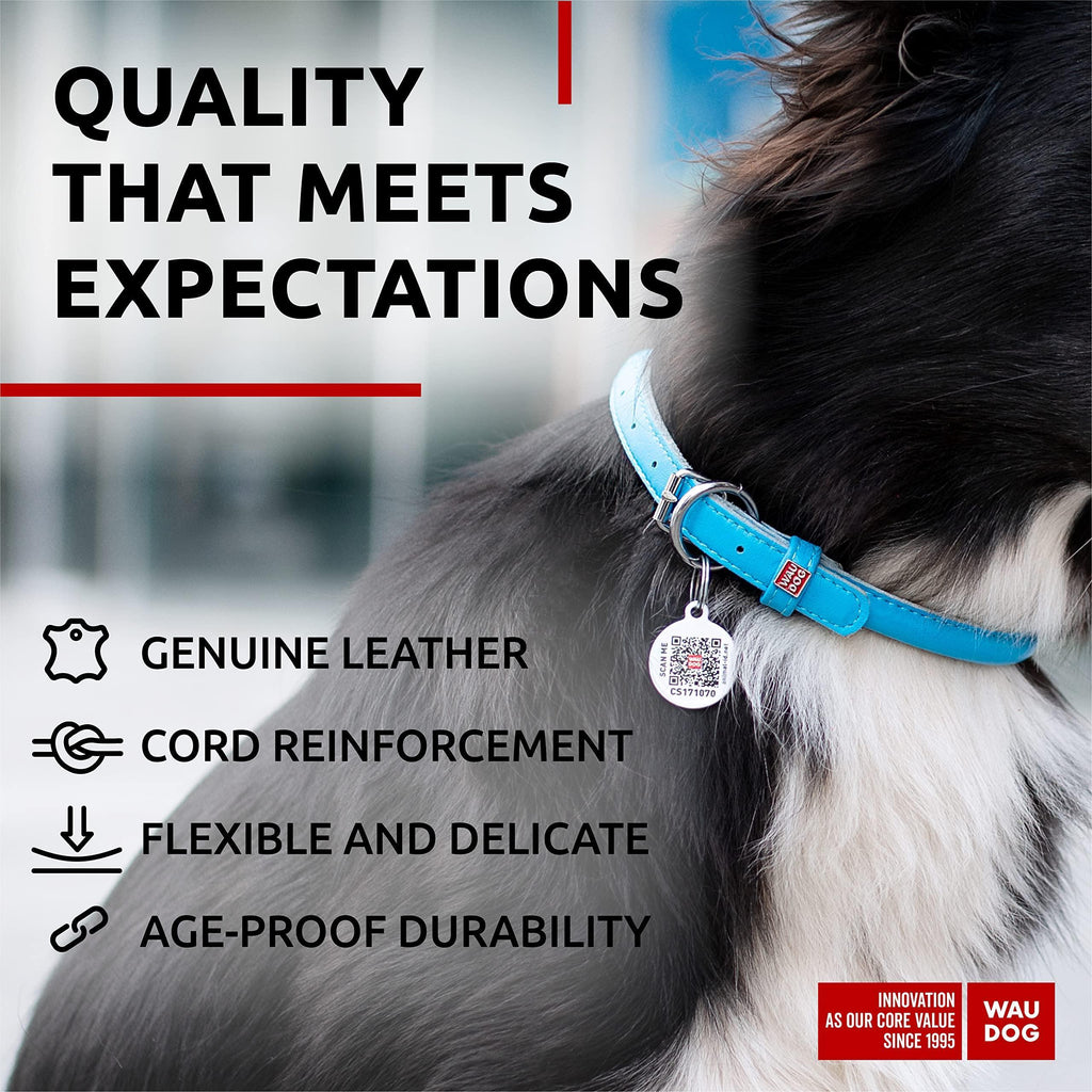 Ultra Soft Rolled Leather Dog Collar 13-16 Inch Neck Soft Padded Dog Collars for Medium Dogs Puppy Collars for Large Breed Dogs Male and Female Dog Collar