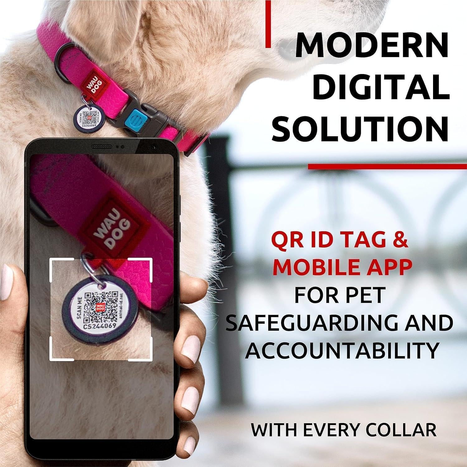 Waterproof Dog Collar 17-28 Inch Neck X 1 3/5 Inch Wide Plastic Buckle Adjustable Dog Collar for Large Dogs Small and Medium Dogs Breakaway Dog Collar Waterproof with Plastic Buckle and QR Dog Tag Boy & Girl Dog Collars (Pink)