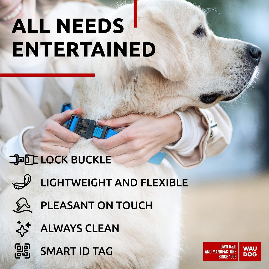 Waterproof Dog Collar 12-19 Inch Neck X 1 Inch Wide Plastic Buckle Adjustable Dog Collar for Large Dogs Small and Medium Dogs Breakaway Dog Collar Waterproof with Plastic Buckle and QR Dog Tag Boy & Girl Dog Collars (Blue)
