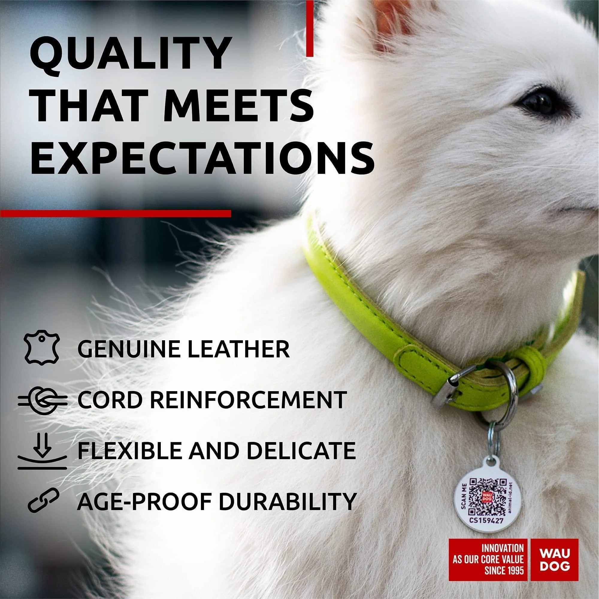 Ultra Soft Rolled Leather Dog Collar 10-13 Neck Soft Padded Dog Collars for Medium Dogs Puppy Collars for Large Breed Dogs Male and Female Dog Collar