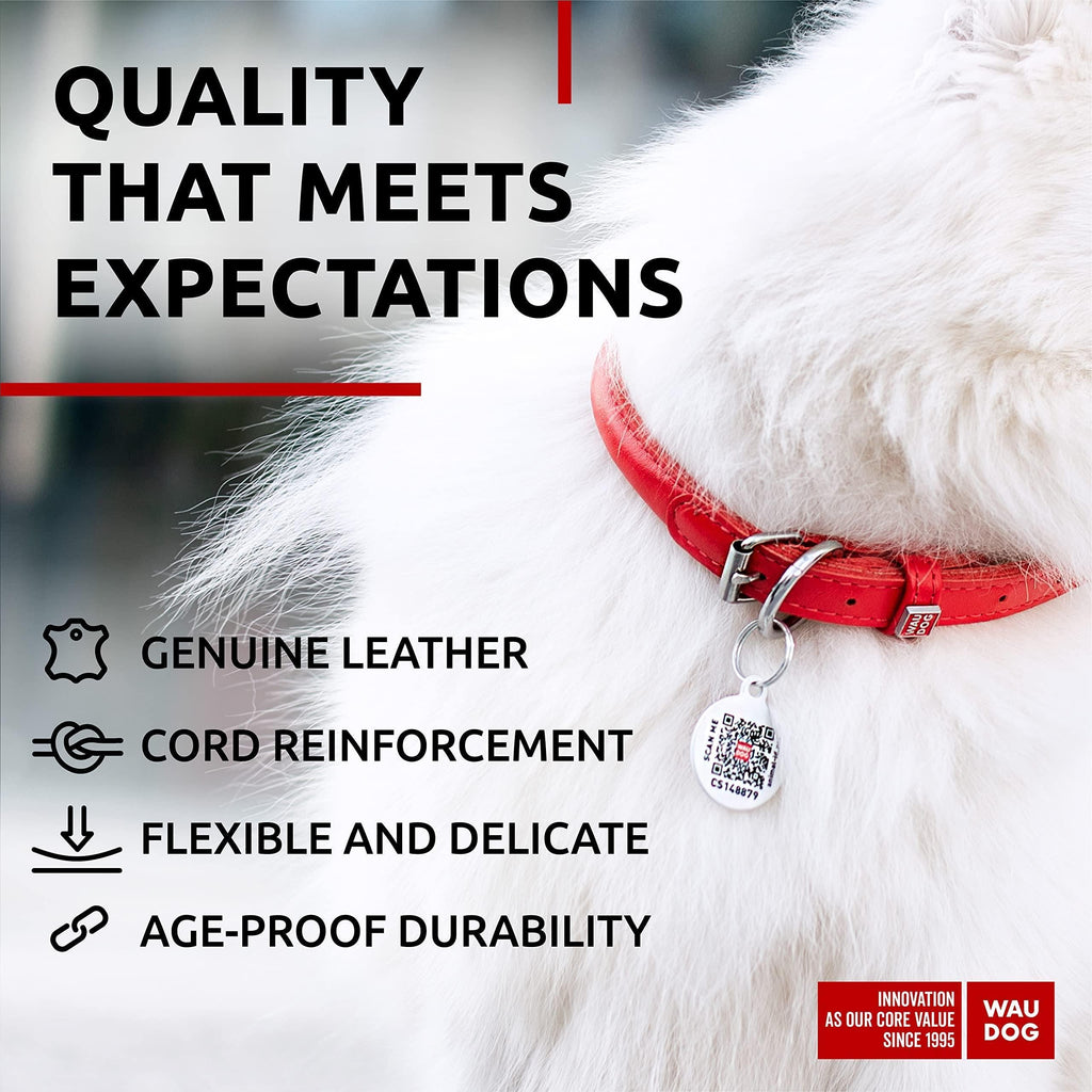 Red Ultra Soft Rolled Leather Dog Collar for Xsmall Dogs 1013 Inch Neck