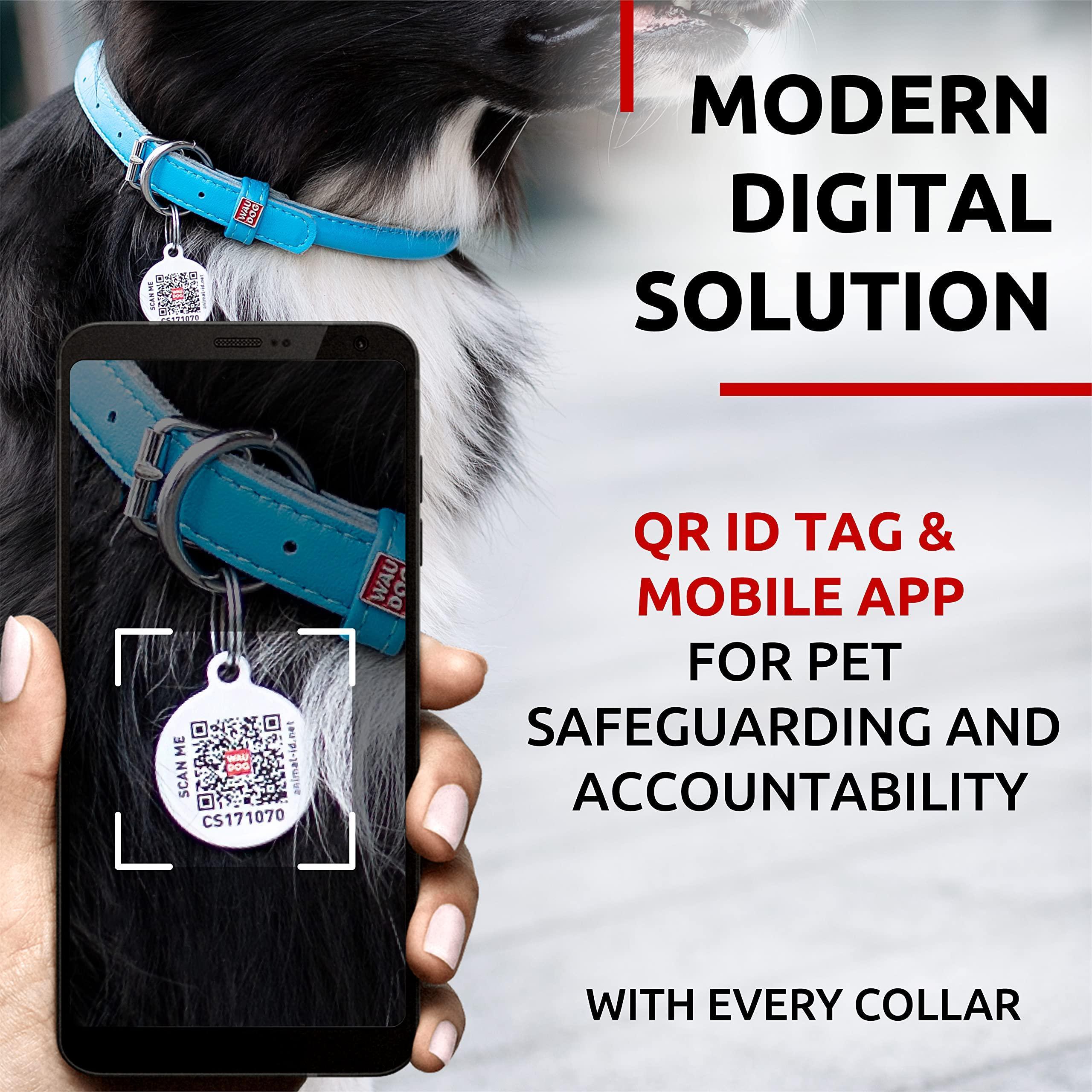 Ultra Soft Rolled Leather Dog Collar 13-16 Inch Neck Soft Padded Dog Collars for Medium Dogs Puppy Collars for Large Breed Dogs Male and Female Dog Collar